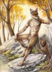 anthro biped black_nose bodypaint bottomwear claws clothed clothing detailed_background digitigrade facial_paint feet forest fur grass hindpaw leaning loincloth looking_at_viewer male markings nature navel outside paws piercing plant river rock solo standing tan_body tan_fur topless tree tribal tribal_markings rukis off_the_beaten_path ransom canid canine canis coyote mammal 2014