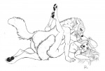 anthro anthro_on_anthro breasts claws clothing duo eagle_position eye_contact feet female female_penetrated fluffy from_front_position fur hair hat headgear headwear hindpaw legs_up looking_at_another lying male male/female male_penetrating male_penetrating_female missionary_position navel nipples nude on_back pawpads paws penetration sex side_view simple_background tail tasteful toe_claws toes white_background silber canid canine mammal black_and_white line_art monochrome