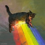 ambiguous_gender feral floor fur grey_body grey_fur lying rainbow slightly_chubby solo tail text whiskers catwheezie homophobia_cat real_world domestic_cat felid feline felis mammal 1:1 2023 absurd_res english_text hi_res redraw