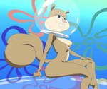 anthro areola breasts brown_body brown_fur female fur looking_at_viewer multicolored_body multicolored_fur nipples nude smile smiling_at_viewer solo tan_body tan_fur two_tone_body two_tone_fur underwater water yev-san nickelodeon spongebob_squarepants sandy_cheeks mammal rodent sciurid tree_squirrel 2025 hi_res