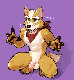5_fingers anthro athletic athletic_male balls black_claws black_nose black_pawpads bodily_fluids breath claws crouching cum cum_drip cum_on_arm cum_on_chest cum_on_face dripping finger_claws fingers flaccid fur genital_fluids genitals glans green_eyes humanoid_genitalia humanoid_penis kerchief kerchief_only looking_up male mostly_nude neckerchief neckerchief_only neckwear open_mouth panting pawpads penis pink_glans pink_penis precum pupils purple_background red_kerchief sharp_teeth simple_background smile solo sweat tail teeth thick_thighs toe_claws white_balls white_body white_fur white_penis jrjresq nintendo star_fox fox_mccloud canid canine fox mammal digital_media_(artwork)