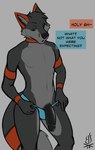 anthro big_penis black_penis bonfire_(bonfirefox) bonfirefox canid canine clothed clothing countershading english_text fox fur genitals grey_body grey_fur hi_res humanoid_genitalia humanoid_penis male mammal partially_clothed penis solo text underwear underwear_down