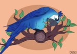 belly blue_sky branch confusion feathered_wings feathers female feral kick leaf plant pregnant pregnant_female sky solo tree wings xenopony456 blue_sky_studios rio_(series) jewel_(rio) avian bird macaw neotropical_parrot parrot spix's_macaw true_parrot absurd_res hi_res