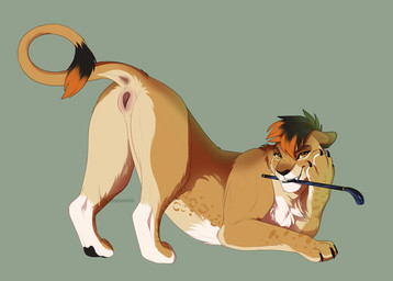 animal_genitalia animal_vulva anus bedroom_eyes black_claws black_hair black_pawpads brown_body brown_eyes brown_fur butt claws countershading feline_genitalia feline_vulva female female_feral feral fur genitals hair honey_eyes leg_spots leopard_spots narrowed_eyes orange_hair pawpads presenting presenting_hindquarters raised_tail riding_crop riding_crop_in_mouth seductive solo spots tail tail_anus tail_tuft tawny_fur tuft vulva whip white_body white_fur conditional_dnp lynxbrush fira_(tigerbites) felid feline lion mammal pantherine 2026 cel_shading digital_media_(artwork) full-length_portrait hi_res portrait shaded