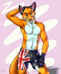 2013 anthro armpit_hair australian_flag biped blue_eyes body_hair boxers_(clothing) canid canine claws clothed clothing digital_media_(artwork) flag_clothing flag_print flag_underwear fluffy fluffy_tail fox front_view fur gloves_(marking) hand_behind_head hi_res looking_at_viewer male mammal markings muscular muscular_anthro muscular_male orange_body orange_fur orithan pecs portrait print_clothing print_underwear simple_background solo standing tail three-quarter_portrait topless underwear undressing vallhound white_body white_fur