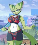 anthro bottomwear bra city cityscape clothing detailed_background female midriff navel outside pose shorts smile solo sports_bra underwear freakyed freedom_planet galaxytrail carol_tea felid feline felis mammal wildcat absurd_res hi_res pinup