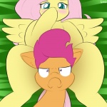 blue_eyes blush cockblock denied duo feathered_wings feathers female feral frown fur hair looking_at_viewer orange_body orange_fur pink_hair purple_eyes purple_hair spread_legs spreading wings yellow_body yellow_feathers yellow_fur lamiaaaa friendship_is_magic hasbro my_little_pony mythology fluttershy_(mlp) scootaloo_(mlp) equid equine horse mammal mythological_creature mythological_equine pegasus pony 1:1 2014 digital_media_(artwork)