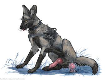 anal anal_masturbation anal_penetration animal_dildo animal_genitalia animal_penis animal_sex_toy balls black_body black_claws black_fur black_nose black_tail canine_dildo canine_genitalia canine_penis claws digitigrade dildo dildo_in_ass dildo_insertion dildo_sitting dipstick_tail erection fangs feral finger_claws fur genitals gloves_(marking) grass grey_body grey_fur grey_tail knot knotted_dildo knotted_penis leg_markings male male_feral markings masturbation object_in_ass orange_eyes penetration penis plant quadruped red_penis sex_toy sex_toy_in_ass sex_toy_insertion simple_background snout socks_(marking) solo tail tail_markings teeth text toe_claws tongue tongue_out white_background heatherwolf canid canine mammal url