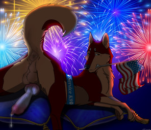american_flag anatomically_correct anatomically_correct_anus anatomically_correct_genitalia anatomically_correct_penis animal_genitalia animal_penis anus balls bodily_fluids canine_genitalia canine_penis dripping erection feral fireworks flag flag_(object) fur genital_fluids genitals holding_object holidays knot leaking_precum looking_at_viewer lying male night on_front penis penis_backwards pillow precum precum_drip precum_string raised_tail smile solo tail united_states_of_america holidaypup 4th_of_july bandit_(holidaypup) canid canine canis dingo domestic_dog mammal absurd_res digital_media_(artwork) hi_res