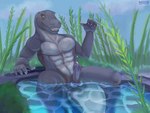 anthro bodily_fluids genital_fluids genitals hot_tub male outside penis precum relaxing smile solo water weso don_bluth the_land_before_time dinosaur prehistoric_species reptile scalie 4:3 absurd_res hi_res