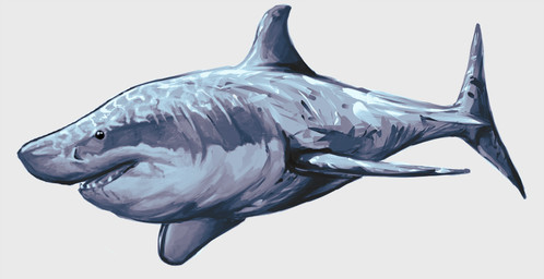 ambiguous_gender blue_body blue_countershading countershade_face countershade_neck countershade_torso countershading dorsal_fin feral fin fish_tail grey_background open_mouth simple_background solo deriaz aquatic fish shark 2014 adobe_photoshop_(artwork) alchemy_(artwork) digital_drawing_(artwork) digital_media_(artwork) full-length_portrait portrait
