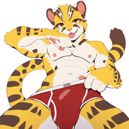 abs anthro biceps big_bulge biped bulge clothed clothing detailed_bulge front_view low-angle_view male male_anthro muscular muscular_male nipples pawpads pecs simple_background solo standing topless underwear underwear_only white_background peapeafur raier_(unrealplace) felid mammal pantherine tiger 1:1 hi_res