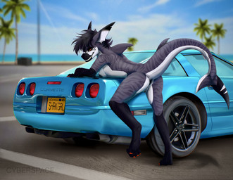 anthro anus beach big_tail blue_car bottomwear breasts butt car classic_car claws clothing female fin genitals leaning leaning_forward nipples nude parking_lot pointy_ears public public_nudity red_claws red_eyes sharp_teeth shorts smile solo sport stripes suggestive sunny tail teeth vehicle vulva cyberspaceart chevrolet chevrolet_corvette vampir_(cyberspaceart) aquatic fish requiem_shark shark tiger_shark absurd_res hi_res