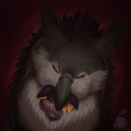 almost_fully_inside anthro beak bodily_fluids duo feathers feet_first fur grey_body grey_feathers last_look logo long_tongue male male/male oral_vore orange_body orange_eyes orange_fur red_background saliva simple_background size_difference tongue tongue_out vore white_body white_feathers zeanlain mythology flynn_(zeanlain) avian canid canine fox gryphon mammal mythological_avian mythological_creature 1:1 2023 artist_logo colored