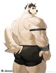 anthro armband back_muscle barazoku biceps black_bottomwear black_clothing black_hair black_nose black_shorts bottomwear butt clothed clothing deltoids facial_hair forearm_muscles fur furgonomic_pants grey_eyes grey_wristband hair looking_at_viewer looking_back looking_back_at_viewer male muscular muscular_anthro muscular_male rear_view shorts sideburns smile solo tail text topless trapezius triceps weibo_logo white_body white_fur wristband doooo2424 weibo canid canine canis mammal wolf 2023 artist_name hi_res