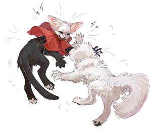 ambiguous_gender black_body black_fur clothing duo feral fluffy fur inner_ear_fluff looking_at_another pawpads paws quadruped red_clothing sharp_teeth simple_background tail teeth tongue tuft white_background white_body white_fur aaasakawa hollow_knight:_silksong hollow_knight_(franchise) team_cherry hornet_(hollow_knight) lace_(hollow_knight:_silksong) felid feline mammal 2026 hi_res