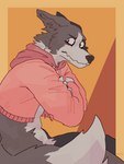 anthro blush bottomless clothed clothing crossed_arms embarrassed eyebrows fur grey_body grey_fur hoodie looking_at_viewer male pink_clothing pink_hoodie pink_topwear simple_background solo topwear mawfulme meme_clothing canid canine canis domestic_dog mammal 2020 3:4 meme