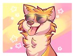 ambiguous_gender border eyewear feral front_view fur glasses multicolored_body multicolored_fur orange_body orange_fur simple_background smile snout solo star sunglasses tan_body tan_fur tongue tongue_out tuft wearing_glasses wearing_sunglasses white_border snowshiba_(artist) canid canine canis domestic_dog mammal 2017 bust_portrait colors!_3d_(artwork) digital_media_(artwork) icon meme portrait reaction_image