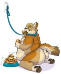 anthro back_rolls belly belly_overhang big_belly big_butt biped blue_eyes bowl burger butt collar container eating fat_arms fat_rolls food fur hair kneeling leash male mostly_nude natural_colors obese obese_anthro obese_male overweight overweight_anthro overweight_male paws pet_bowl simple_background solo tail tan_body tan_fur thick_thighs vanillayote rain_(vanillayote) canid canine canis coyote mammal 2021 hi_res shaded nonbinary_(lore)