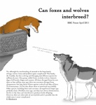 digitigrade duo female feral male parody quadruped simple_background text the_more_you_know white_background unknown_artist juliet canid canine canis fox mammal wolf 2011 absurd_res english_text hi_res meme