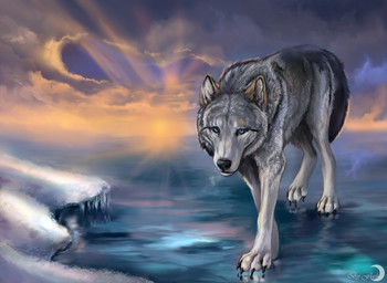 ambiguous_gender black_body black_fur black_nose blue_eyes claws detailed_background feral fur grey_body grey_fur ice light outside paws snow solo sun sunlight walking white_body white_fur winter flashw canid canine canis mammal wolf 2012 digital_media_(artwork) digital_painting_(artwork) painting_(artwork)