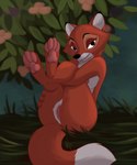 anthro areola bedroom_eyes breasts clitoral_hood clitoris feet female fur genitals grass half-closed_eyes hands_on_legs holding_both_legs looking_at_viewer narrowed_eyes nipples nude orange_body outside pawpads plant pussy seductive smile solo tail toes tree kumotta disney the_fox_and_the_hound vixey_(tfath) canid canine canis fox mammal red_fox true_fox digital_media_(artwork) hi_res