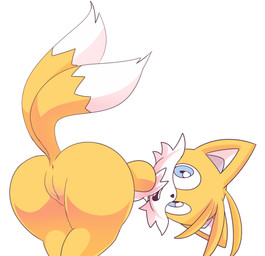 andromorph anthro anus butt fur genitals intersex looking_at_viewer looking_back presenting presenting_hindquarters presenting_vulva simple_background solo tail vulva white_background young young_anthro catedging sega sonic_the_hedgehog_(series) miles_prower canid canine fox mammal absurd_res digital_media_(artwork) hi_res trans_(lore) trans_man_(lore)