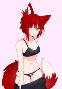 black_bra black_clothing black_panties black_underwear blush bottomwear bottomwear_pull bra breasts clothed clothing clothing_pull female front_view heterochromia looking_at_viewer panties pants pants_pull solo standing underwear underwear_only undressing ivie_(artist) animal_humanoid canid canid_humanoid canine canine_humanoid fox_humanoid humanoid mammal mammal_humanoid absurd_res hi_res
