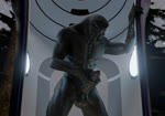 anus balls erection genitals grunting male masturbation nude penile penile_masturbation penis solo no-name-no-problem halo_(series) microsoft xbox_game_studios alien sangheili 3d_(artwork) 3d_animation animated digital_media_(artwork) hi_res short_playtime sound webm