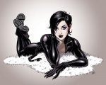 butt curve female hair latex not_furry solo unknown_artist dc_comics catwoman selina_kyle_(character) domestic_cat felid feline felis mammal 2013