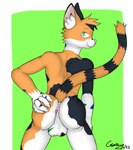 5_fingers anthro anus balls black_body femboy fingers genitals green_eyes hand_on_butt inner_ear_fluff looking_at_viewer looking_back looking_back_at_viewer male orange_body pink_nose smile solo tail tuft white_body crown_(artist) inkpenkitten calico_cat domestic_cat felid feline felis mammal 2024 hi_res portrait three-quarter_portrait