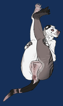 andromorph anthro anus big_clitoris blush butt claws clitoris erection feet fingers fur genitals hair intersex looking_at_viewer nude pawpads paws penis short_hair smile solo tail vulva vaalravn canid dasyuromorph mammal marsupial recently_extinct_species thylacine alpha_channel digital_media_(artwork) hi_res trans_(lore)