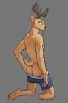 amputee anthro antlers black_nose blue_clothing blue_underwear brown_antlers brown_eyes butt clothed clothing disability exposing_rear feet fur horn kneeling looking_at_viewer male missing_leg partially_clothed pink_inner_ear plantigrade presenting presenting_hindquarters raised_tail rear_view short_tail smile soles solo tail tan_body tan_fur underwear underwear_down badroy beastars louis_(beastars) cervine deer mammal red_deer hi_res