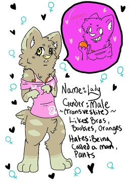 ambiguous_gender anthro bra clothed clothing crossdressing female_symbol food fruit fur gender_symbol orange_(fruit) pink_bra pink_clothing pink_underwear plant solo speech_bubble symbol tail tan_body tan_ears tan_fur tan_tail text underwear white_clothing white_inner_ear yellow_eyes yellow_nose tuxiiedos lady_(tuxiiedos) canid canine canis domestic_dog mammal 2013 character_name english_text model_sheet male_(lore)