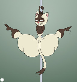 4_fingers anthro bedroom_eyes big_butt bottom_heavy bubble_butt buckteeth butt clothing countershade_face countershade_legs countershade_tail countershading curvy_figure dancing eyelashes femboy fingers fur heart_nose heart_symbol logo looking_at_viewer looking_back looking_back_at_viewer male multicolored_body multicolored_fur narrowed_eyes pole pole_dancing seductive small_waist solo spread_legs spreading tail teeth text thick_thighs thong two_tone_body two_tone_fur underwear thatdawgmurray happy_tree_friends tricksy_(htf) domestic_ferret mammal mustelid musteline true_musteline weasel aliasing artist_logo artist_name digital_media_(artwork) hi_res signature