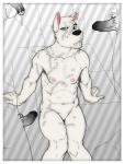 anthro blue_eyes bukkake canine cherry_(character) chris_berry claws cum cum_everywhere cum_on_chest cum_on_face cum_on_lips cum_on_shoulder cum_on_thigh cuntboy disembodied_penis dog dripping fur group group_sex hi_res husky intersex male male_on_cuntboy mammal messy nipples nude on_floor one_eye_closed penis phantom_boner phantom_penis sex sitting superslickslasher toned v--r white_fur
Rating: Explicit
Score: 12
User: v--r
Date: December 06, 2013