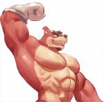 abs anthro biceps fur male muscular muscular_anthro muscular_male obliques pecs ribs solo triceps episode0006 activision crash_bandicoot_(series) crunch_bandicoot bandicoot mammal marsupial 2019 hi_res