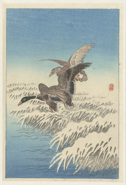 ambiguous_feral ambiguous_gender avian_feet beak biped bipedal_feral cjk_character detailed_background duo feathered_wings feathers feral flying outside plant reeds side_view snow spread_wings tail tail_feathers water wings ohara_koson public_domain anatid anseriform avian bird duck 20th_century absurd_res ancient_art hi_res traditional_media_(artwork)