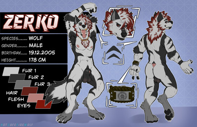 anthro balls claws fur genitals grey_body grey_fur hair looking_at_viewer male penis red_eyes simple_background smile solo standing tail text tongue white_body white_fur notsafefirewolf zerko_wolf canid canine canis mammal wolf absurd_res digital_media_(artwork) english_text hi_res model_sheet