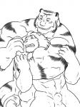 abs animal_genitalia anthro balls clenched_teeth dominant duo flaccid fully_sheathed fur genitals grin headlock looking_back male muscular muscular_male navel nude penis penis_tip sheath simple_background smile striped_body striped_fur stripes tail tail_tuft teeth tuft wrestling grisser mike_the_tiger felid lion mammal pantherine tiger 2009 3:4 greyscale hi_res monochrome sketch