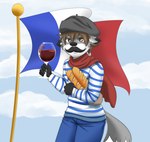 alcohol anthro baguette beret beverage black_nose bottomwear bread brown_eyes clothed clothing cloud container cup drinking_glass facial_hair female food french_flag fully_clothed fur glass glass_container glass_cup grey_body grey_fur hat headgear headwear looking_at_viewer male outside pants scarf sky solo wine wine_glass z0rgy canid canine fox mammal