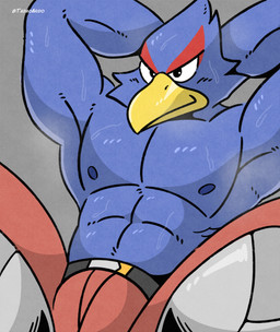 abs anthro beak biceps black_eyes bodily_fluids bottomwear bulge clothing exercise male manly muscular muscular_anthro muscular_male nipples pants pecs pose raised_arm sitting solo steam sweat training yellow_beak tadaoardo nintendo star_fox falco_lombardi avian bird falcon falconid absurd_res hi_res