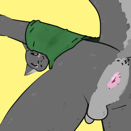 anthro anus balls butt clothing femboy genitals looking_at_viewer male penis rear_view solo lspagf canid canine canis mammal wolf 1:1 absurd_res hi_res