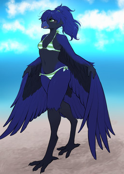 avian_feet beach bikini bikini_bottom bikini_top blue_body blue_feathers blue_hair breasts clothing feathers green_eyes hair ponytail small_breasts swimwear two-piece_swimsuit walking wings ajna animal_humanoid avian avian_humanoid bird bird_humanoid corvid corvid_humanoid corvus_(genus) crow humanoid oscine passerine hi_res