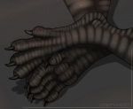 4_toes ambiguous_gender anthro claws digitigrade feet foot_shot hindpaw pawpads paws simple_background soles solo toes catwolf mythology dragon mythological_creature mythological_scalie scalie