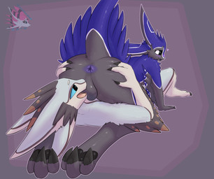 3_fingers 3_toes 4_ears anthro anus backsack balls black_body black_claws black_feathers black_sclera blue_body blue_eyes blue_feathers blush butt butt_grab claws duo facesitting feathered_wings feathers feet fingers fur genitals grabbing grey_balls grey_body grey_feathers grey_genitals hand_on_butt heart_symbol looking_at_another looking_back lying male male/male male_anthro markings multi_ear multicolored_body nude on_back open_mouth pawpads paws presenting presenting_anus pseudo_hair purple_anus purple_body raised_tail sex simple_background sitting_on_another smile spread_butt spreading tail toe_claws toes tongue white_body white_feathers winged_arms wings yporolsya fuelkizo reauouenoux avali avian digital_media_(artwork) hi_res