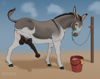 anatomically_correct anatomically_correct_genitalia anatomically_correct_penis animal_genitalia animal_penis balls big_flare black_balls black_hair black_hooves black_penis brown_body brown_eyes brown_fur butt equine_genitalia equine_penis erection feral flared_penis fur genitals grey_body grey_fur grey_nose hair halter hooves long_penis male male_feral penis presenting presenting_balls presenting_penis quadruped raised_leg raised_tail side_view simple_background solo standing tail underhoof white_body white_fur conditional_dnp tgt1512 asinus donkey equid equine mammal digital_drawing_(artwork) digital_media_(artwork) flat_colors