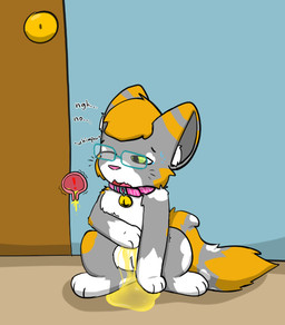 balls bell bell_collar bladder bodily_fluids collar collar_only eyewear feral fur genital_fluids genitals glasses green_eyes grey_body grey_fur male nude omorashi one_eye_closed one_eye_half-closed open_mouth orange_body orange_fur organs peeing pink_nose sitting solo sweat tail tears text urine urine_on_self urine_pool wearing_glasses wetting whimper white_body white_fur cookid slinky_(cookid) calico_cat domestic_cat felid feline felis mammal