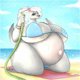 4_toes 5_fingers accessory ambiguous_feral ambiguous_gender anthro beach belly big_belly big_breasts bikini bivalve_shell black_nose blue_bikini blue_clothing blue_eyes blue_swimwear blush bracelet breasts chest_tuft clothed clothed_anthro clothed_female clothing cloud day ears_down extreme_size_difference eyebrows eyelashes fanning fanning_self feet female female_focus feral fingers flower flower_in_hair fluffy fluffy_tail fully_clothed fully_clothed_anthro fully_clothed_female fur grey_body grey_fur hair hair_accessory holding_hose holding_object hose huge_breasts huge_thighs jewelry larger_anthro larger_female light long_hair long_tail mollusk_shell multicolored_bracelet navel outie_navel pawpads paws pink_flower pivoted_ears plant ponytail pregnant pregnant_anthro pregnant_female rainbow_bracelet rainbow_symbol red_towel sand sea seaside shell sitting sitting_on_knees sitting_on_towel size_difference sky smaller_ambiguous smaller_feral solo sparkles sparkling_bikini sparkling_clothing sparkling_swimwear spraying_water swimwear tail text thick_thighs toes tongue tongue_out towel triangle_bikini tuft two-piece_swimsuit water wavy_hair wet white_hair wide_hipped_anthro wide_hipped_female wide_hips rakkyoarts azraelle_(tertia) aquatic asterozoan canid canine canis echinoderm mammal starfish wolf 1:1 2023 artist_name colored digital_drawing_(artwork) digital_media_(artwork) english_description hi_res lighting shaded