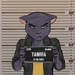 anthro female mugshot solo upset finateh barbie_and_ken_mugshot_meme rimba_racer tamira_(rimba_racer) felid feline mammal pantherine hi_res